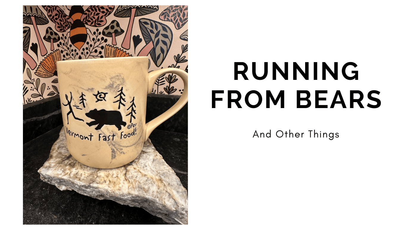 Read more about the article Running From Bears (and Other Things We Pretend Aren’t Catching Us)